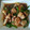 ジュン0509's cooksnap of when they made ピーマンと鶏むね肉の細切り炒め.