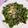 tama0228's cooksnap of when they made ピーマンor万願寺とうがらしの塩昆布炒め.