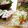 runa10's cooksnap of when they made ☆カプレーゼ風サラダ☆.