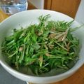 なおおこ's cooksnap of when they made 簡単でウマいっ！★水菜とツナのサラダ★.