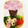 めいめい☆☆☆'s cooksnap of when they made 桜の木デコ弁.