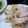ゆいランラン's cooksnap of when they made モチモチおさかなの蓮根はさみ揚げ.