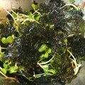 mii0307's cooksnap of when they made かいわれと韓国海苔のナムル.