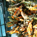あねさん②'s cooksnap of when they made わけぎのかき揚げ.