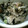 kimican731's cooksnap of when they made 【簡単】豆腐とヒジキのサラダ.