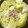 楽しく料理♪'s cooksnap of when they made 春キャベツとベーコンの蒸し煮♪簡単.