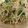 クック33CSTO☆'s cooksnap of when they made 早業！もやし&ほうれん草のナムル.