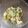 おかかーさん's cooksnap of when they made ゆで卵ときゅうりの胡麻ダレサラダ.