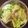 まる6039's cooksnap of when they made 水菜のジャコサラダ.