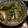 なるミーコ's cooksnap of when they made 春＊うどと菜の花のさっぱり煮浸し.