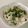 papikun's cooksnap of when they made ヘルシー✿高菜の白和え✿.