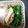 ミンジュン's cooksnap of when they made 超簡単！レンジで豚とほうれん草ポン酢がけ.