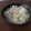 よちりん's cooksnap of when they made 簡単！白菜のほっこり煮.