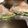 クック49EO2S☆'s cooksnap of when they made ヘルシー✿豆腐ツナのふんわり和風サンド☆.