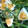 ゴロtaroo's cooksnap of when they made 菜の花とゆでたまごのゴママヨサラダ.
