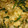 クックGH2GXQ☆'s cooksnap of when they made 豆腐とにらのとろとろ中華風卵とじ。.