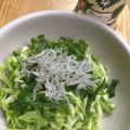 はーとねこ's cooksnap of when they made キャベツ・青しそ・じゃこのサラダ.