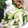みっくママ's cooksnap of when they made 作り置き野菜のマリネ.