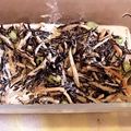 クック47MF3I☆'s cooksnap of when they made レンコンとひじきのゴママヨネーズサラダ.