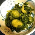 norigen116's cooksnap of when they made 簡単☆わさび菜の浅漬け.