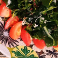 青い服's cooksnap of when they made 簡単！トマトと海藻の黒酢マリネ.