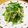 rai☆yuaママ☆'s cooksnap of when they made 簡単！水菜ともやしのシャキシャキサラダ.