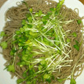 ☆MHK☆'s cooksnap of when they made ざるそばにかいわれ大根♡ おしゃれ.