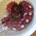 Munchkin's　Mom's cooksnap of when they made ヌメリが取りやすい簡単生蛸の茹で方.