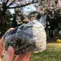 :えり坊's cooksnap of when they made おにぎり カンタン俵型.