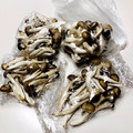 azbjbn's cooksnap of when they made キノコの冷凍保存。一人暮らしの自炊に。.