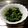 ☆亞季☆'s cooksnap of when they made 簡単☆わけぎのぬた.