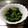 ☆亞季☆'s cooksnap of when they made 簡単☆わけぎのぬた.