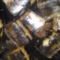 hina88's cooksnap of when they made 旬のさんまの生姜煮.