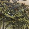 クック4HYXYY☆'s cooksnap of when they made 塩だけであく抜き！わらびのおひたし！.