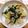 らて♪'s cooksnap of when they made 高野豆腐のあんかけ丼.