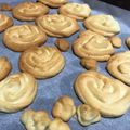 ことぴぃ's cooksnap of when they made 卵白でさくさく失敗無し絞り出しクッキー.