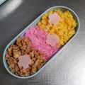 kokoパパ's cooksnap of when they made 3～5色＊そぼろ弁当①.