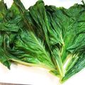 ☆☆Sakko☆☆'s cooksnap of when they made 【野菜ソムリエ】ふきの葉の下処理.