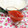 ｍａｒｉ♪'s cooksnap of when they made まとめて作る基本の自家製トマトソース.