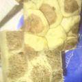 ramu_4649's cooksnap of when they made きりん模様のパン.