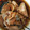 クック9BX7S9☆'s cooksnap of when they made 新タマネギと生節の…炊いたん.