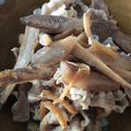 ともみつ３２６'s cooksnap of when they made 牛肉とゴボウのしぐれ煮♪ૢ.