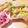 クックW8KYFF☆'s cooksnap of when they made くまサンド✧ピクニック・朝ごはん✧簡単♪.