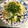 jun＆coro's cooksnap of when they made ネギと筍の和風パスタ.