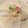 ゆ88's cooksnap of when they made 白菜の中華風クリーム煮.