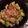 糠に釘入れたら's cooksnap of when they made 安いマグロでも！こっくりマグロ漬け丼.