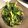 むー太朗's cooksnap of when they made 春菊の胡麻味噌くるみ和え.