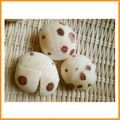 ＭＡＹＯＭＡＹＯ　's cooksnap of when they made 虫パン♪てんとう虫のコッペパン.