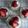 Galletita's cooksnap of when they made 苺のタルト✾たっぷり苺乗せ♪.