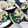 keroro's cooksnap of when they made はまぐりの酒蒸し.